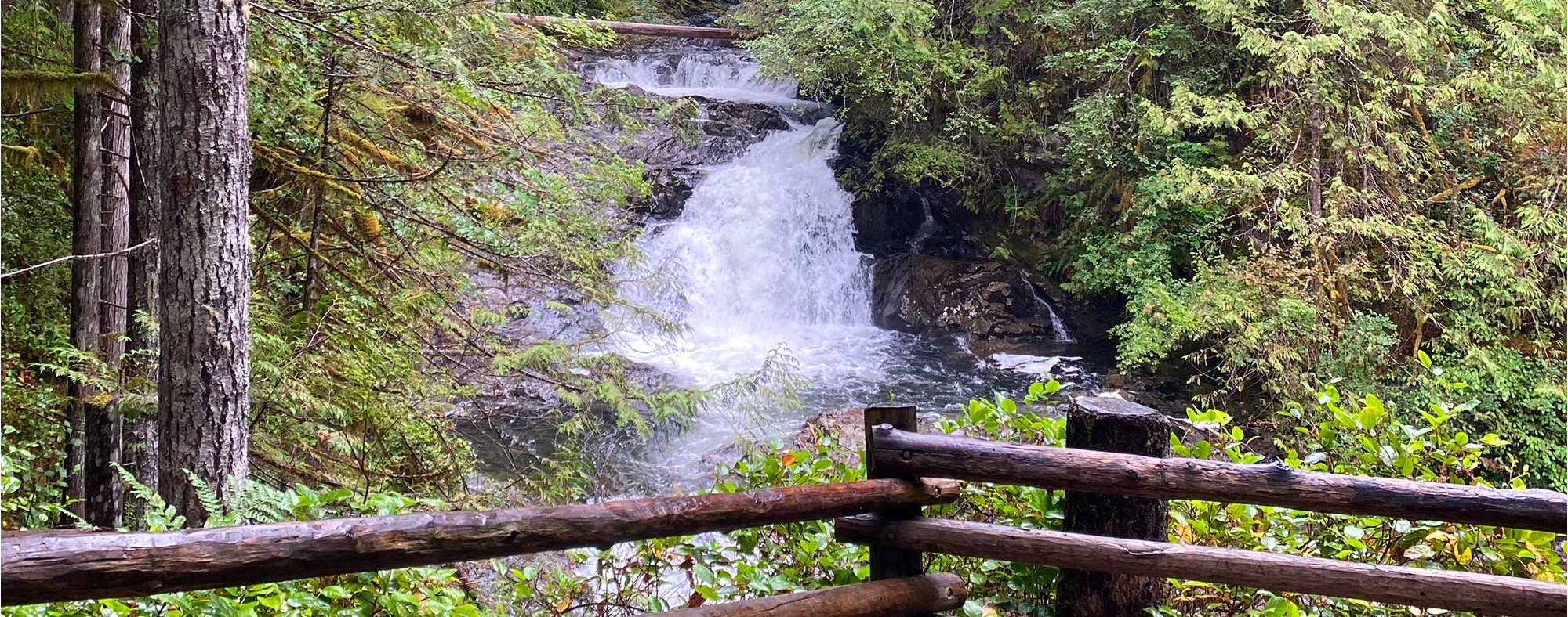 A forest waterfall behind a rustic wooden railing